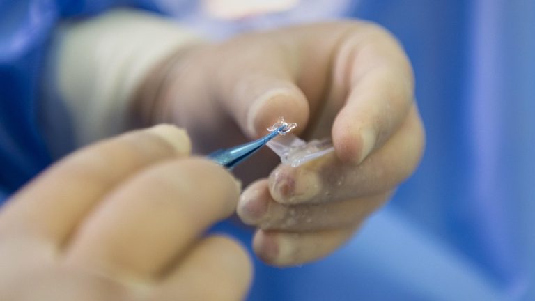 EHF: Redefining Excellence in European Handball