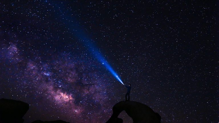 The Science of Discovery and Classification: Unraveling the Mysteries of the Natural World